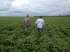 Fazenda ótima para lavoura na bahia 3.311 hectares